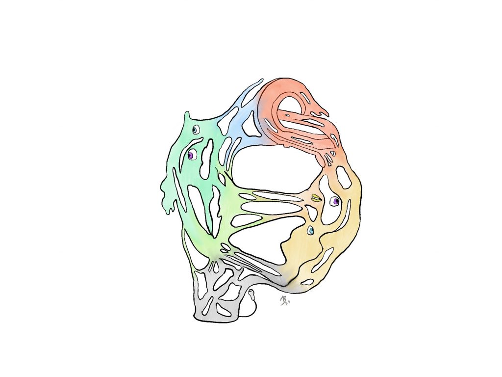 Eine rot, grün, blau, gelbe Zeichnung einer runden Form, die sich Fäden ziehend auseinander spreizt vor weißen Hintergrund. Es tauchen vereinzelt monsterartige Gestalten mit Augen und Münder auf. 